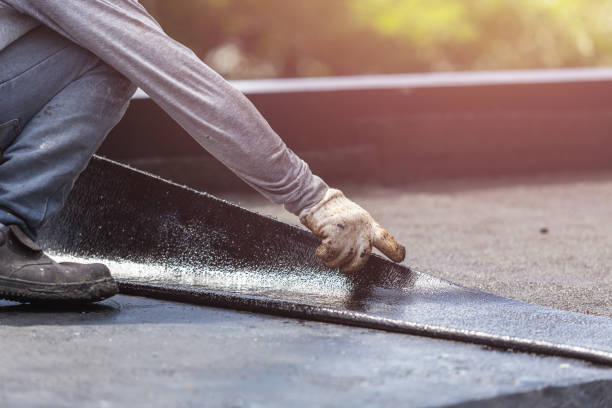 Professional Interior Drainage System technician working in Bellevue, WA